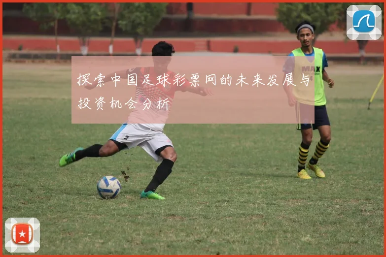 探索中国足球彩票网的未来发展与投资机会分析
