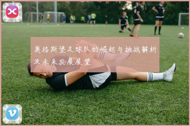 奥格斯堡足球队的崛起与挑战解析及未来发展展望