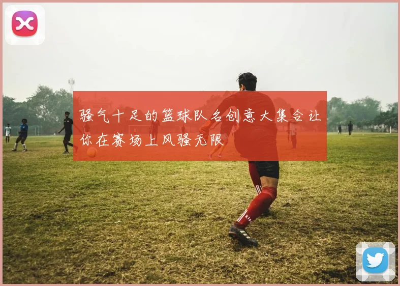 骚气十足的篮球队名创意大集合让你在赛场上风骚无限